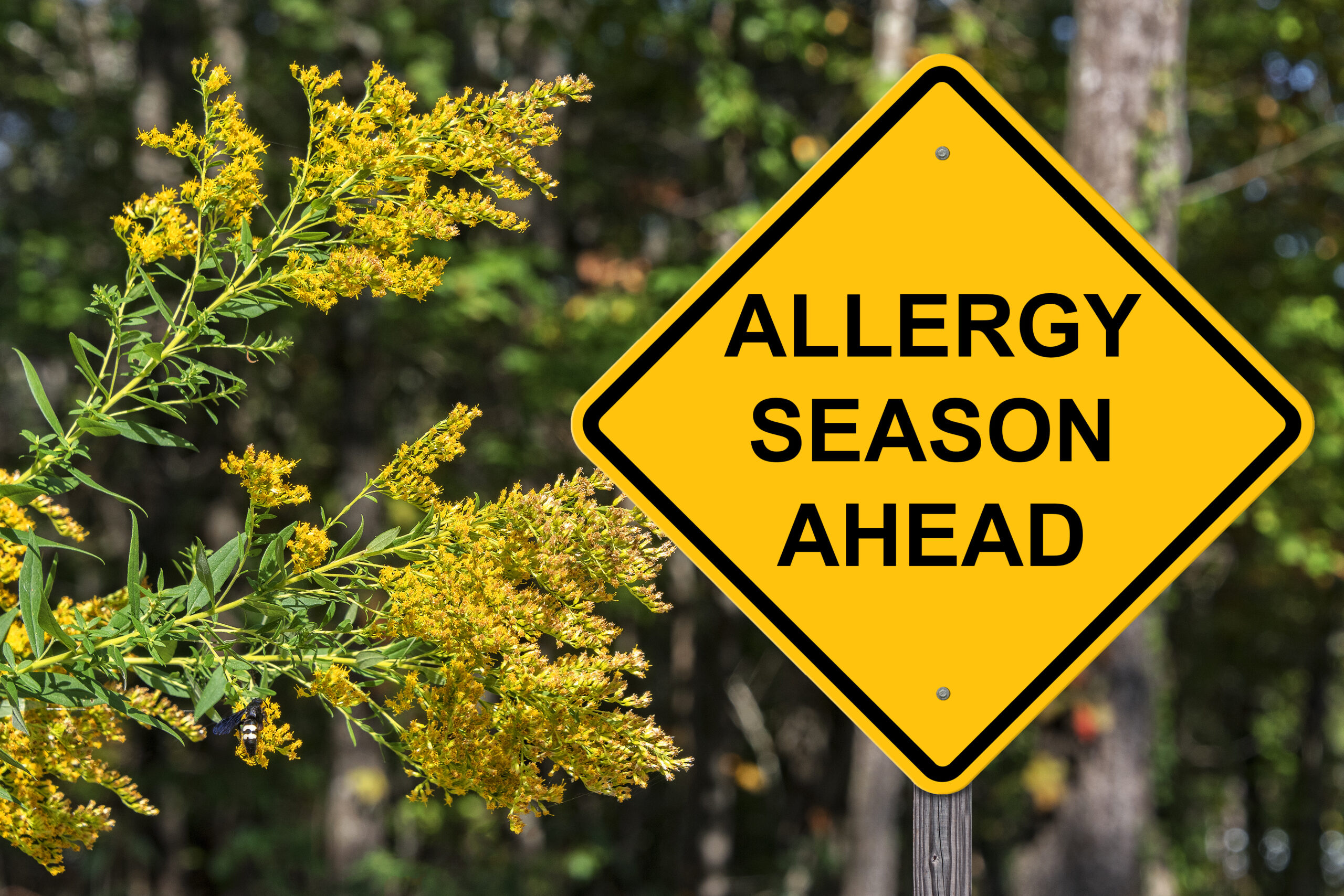 Spring Allergies in Central Florida: When to Seek Care in Orlando